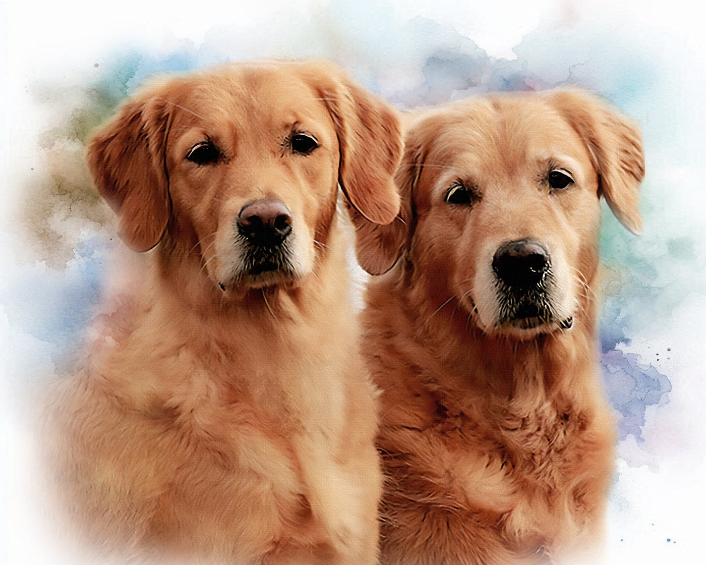 A customized portrait of 2 your pets: digitally processed photos on a watercolour background!