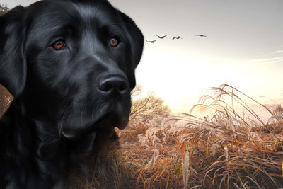 A customised portrait of your one pet: digital photo processing with wild nature background!