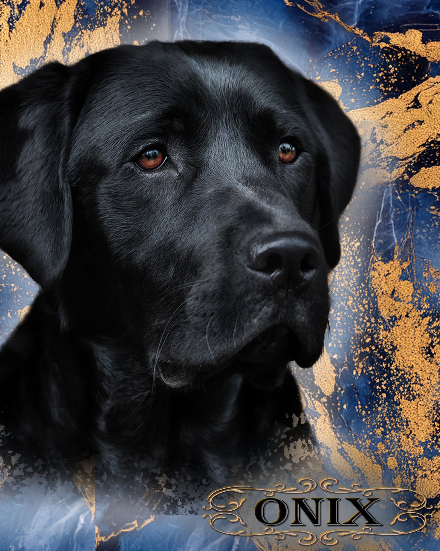 A customized portrait of one your pet: digitally processed photos on a watercolour background!